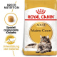 FBN Maine Coon 2kg
